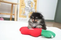 processed/ae1e3be0-9b41-49e6-bad7-cd7bc5f061e3/listing/adf65f53-6619-447b-b2de-7b79c22a9fe8/8f3be2ed-56bc-4639-bfb6-446112d03d23