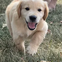 processed/ae221de9-5604-47a8-8c0c-ad8ebf470955/facility/94e4c773-5370-45bd-a381-f829375c1c82