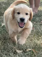 processed/ae221de9-5604-47a8-8c0c-ad8ebf470955/facility/94e4c773-5370-45bd-a381-f829375c1c82