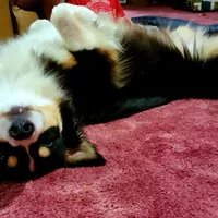 processed/ae2272e3-881a-4267-9cce-ef8de8af828a/facility/c38abd83-99f5-4482-98fe-f59e89f028d4