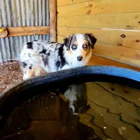 processed/ae2272e3-881a-4267-9cce-ef8de8af828a/facility/ecd37cf4-01ee-47ee-b964-eb9b5b37dc46