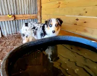 processed/ae2272e3-881a-4267-9cce-ef8de8af828a/facility/ecd37cf4-01ee-47ee-b964-eb9b5b37dc46