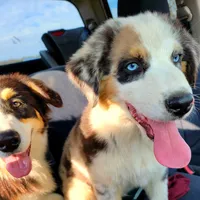 processed/ae2272e3-881a-4267-9cce-ef8de8af828a/facility/f67aded9-60e1-4b80-b63f-41c05f678d5b