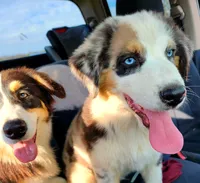 processed/ae2272e3-881a-4267-9cce-ef8de8af828a/facility/f67aded9-60e1-4b80-b63f-41c05f678d5b