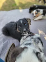 processed/ae2272e3-881a-4267-9cce-ef8de8af828a/listing/c23ae575-a2e7-4f98-b286-b5ebad757570/167faa1d-b8d6-4ab5-8c55-d4659024c5ab