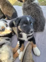 processed/ae2272e3-881a-4267-9cce-ef8de8af828a/listing/c23ae575-a2e7-4f98-b286-b5ebad757570/74860b3d-576f-4abe-9c3a-ebea61d31ffa