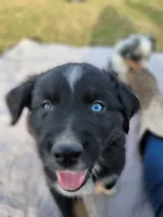 processed/ae2272e3-881a-4267-9cce-ef8de8af828a/listing/c23ae575-a2e7-4f98-b286-b5ebad757570/9b765fe4-b72f-4923-a85b-6f82be8639ae