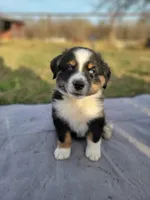 processed/ae2272e3-881a-4267-9cce-ef8de8af828a/listing/c31f9a1d-9ac7-4f31-ae9f-f606b534f4c6/611843f1-220b-4f74-b821-f9594780ecc8