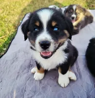 processed/ae2272e3-881a-4267-9cce-ef8de8af828a/listing/c31f9a1d-9ac7-4f31-ae9f-f606b534f4c6/ad27ffaa-be69-465f-ba84-ca3dcc405c85