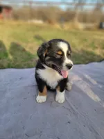 processed/ae2272e3-881a-4267-9cce-ef8de8af828a/listing/c31f9a1d-9ac7-4f31-ae9f-f606b534f4c6/d6efd6d6-5aab-4c84-8444-52ef658e9721