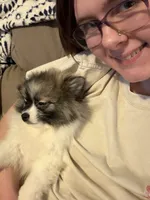 processed/ae37d94c-b241-45c0-8c6d-079507c0a40e/listing/a3fd0fda-3441-44dd-a58e-ab8deb4eae7a/ed9d2a5a-1f4c-4f37-bc93-03c759a67111