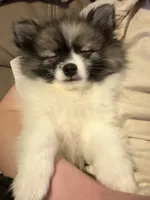 processed/ae37d94c-b241-45c0-8c6d-079507c0a40e/listing/a3fd0fda-3441-44dd-a58e-ab8deb4eae7a/f68e89b9-e2fd-4e75-a5ec-f1dc997ba902