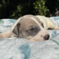 processed/ae4c7cb4-06ba-4296-b919-0bd58dcc537d/facility/1fba5975-ebee-4a8f-ba03-a916be656989