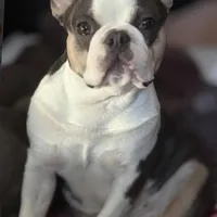 processed/ae4c7cb4-06ba-4296-b919-0bd58dcc537d/facility/372030e1-7c84-46e5-bd9d-89f904eb02be