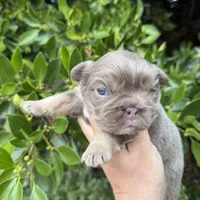 processed/ae4c7cb4-06ba-4296-b919-0bd58dcc537d/facility/38313543-9669-4a06-8711-a4d2606f1dd0