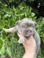 processed/ae4c7cb4-06ba-4296-b919-0bd58dcc537d/facility/38313543-9669-4a06-8711-a4d2606f1dd0