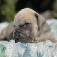 processed/ae4c7cb4-06ba-4296-b919-0bd58dcc537d/facility/4e528960-b41c-4930-9c55-84a3a77dd3d6