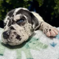 processed/ae4c7cb4-06ba-4296-b919-0bd58dcc537d/facility/6c6102ee-7350-446d-ba71-70a3bf9c3f56