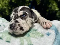 processed/ae4c7cb4-06ba-4296-b919-0bd58dcc537d/facility/6c6102ee-7350-446d-ba71-70a3bf9c3f56