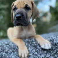 processed/ae4c7cb4-06ba-4296-b919-0bd58dcc537d/facility/a726e7cb-492f-4a53-ab36-989839ff8d9f