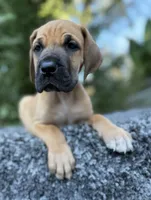 processed/ae4c7cb4-06ba-4296-b919-0bd58dcc537d/facility/a726e7cb-492f-4a53-ab36-989839ff8d9f