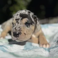 processed/ae4c7cb4-06ba-4296-b919-0bd58dcc537d/facility/ae915118-a0f7-4346-be6e-ada5172a6738