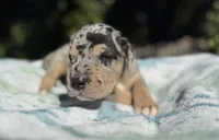 processed/ae4c7cb4-06ba-4296-b919-0bd58dcc537d/facility/ae915118-a0f7-4346-be6e-ada5172a6738