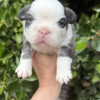 processed/ae4c7cb4-06ba-4296-b919-0bd58dcc537d/facility/daa3825f-a1d8-4568-8aba-add72767d786