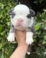 processed/ae4c7cb4-06ba-4296-b919-0bd58dcc537d/facility/daa3825f-a1d8-4568-8aba-add72767d786