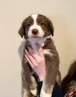 processed/ae4ec0c6-2116-43f5-a097-ad9cf7a9a6a9/listing/5128fb19-f12c-49ce-9b03-573d8aa85a19/a1a7356e-d453-4aee-90bb-4abf0f0fd516