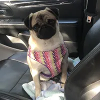 processed/ae614a75-23bc-41cb-bea6-74a9899473dd/facility/44078ee5-fe55-45cf-9350-47e89ed0c1f0