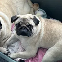 processed/ae614a75-23bc-41cb-bea6-74a9899473dd/facility/9be0bba3-78bf-483d-8ef7-48dcb92f0fb6