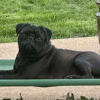 processed/ae614a75-23bc-41cb-bea6-74a9899473dd/facility/9d649af0-23e6-4098-842a-448ac1640fa8