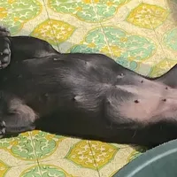 processed/ae614a75-23bc-41cb-bea6-74a9899473dd/facility/c47165c4-bced-4fcf-ae8b-bd1c06e7054c