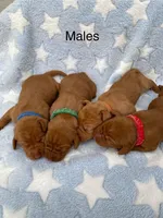 processed/ae65b404-25f5-4386-aebf-30b2ac9077b3/facility/3adf5e86-6357-4a1c-ac6a-28ba3a046538