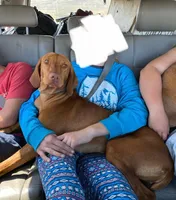 processed/ae65b404-25f5-4386-aebf-30b2ac9077b3/facility/46ebae3a-a322-486f-a5b5-fae5b799f4fc