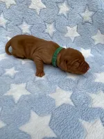 processed/ae65b404-25f5-4386-aebf-30b2ac9077b3/facility/585ebbeb-c054-4688-a703-27aa2f88255d