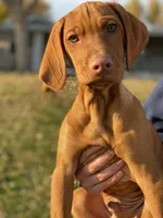 processed/ae65b404-25f5-4386-aebf-30b2ac9077b3/facility/6fd39073-d802-4803-b5bc-575526cd147e