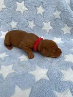 processed/ae65b404-25f5-4386-aebf-30b2ac9077b3/facility/97e0d162-0eeb-49d6-b9ba-07852c9f2699