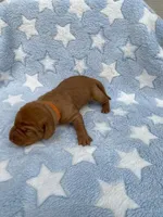 processed/ae65b404-25f5-4386-aebf-30b2ac9077b3/facility/b5c6b31e-2fbd-474a-a372-771688bd9728