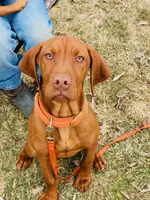 processed/ae65b404-25f5-4386-aebf-30b2ac9077b3/facility/ba8d8783-e569-48d6-a4b4-cced20521e52