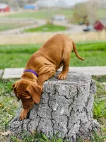 processed/ae65b404-25f5-4386-aebf-30b2ac9077b3/facility/c807f853-dc09-44c5-a364-8795c7854aa7