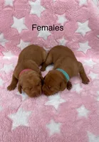 processed/ae65b404-25f5-4386-aebf-30b2ac9077b3/facility/d0977230-c30a-4966-ba5d-96fb62c3a16f