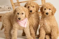 processed/ae68d0c1-6543-4704-b753-00974f51b751/facility/07ce185c-f450-4c31-ac1d-5e17c60e4270