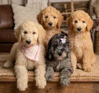 processed/ae68d0c1-6543-4704-b753-00974f51b751/facility/d1e645f4-c5e1-47b1-b0ea-37c1fc607c67