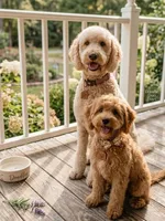 processed/ae68d0c1-6543-4704-b753-00974f51b751/facility/de968594-5d3a-4613-b981-eb9206f23a3f