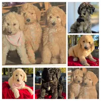 processed/ae68d0c1-6543-4704-b753-00974f51b751/facility/f8cafc0e-ec7b-4938-95c1-616248133055