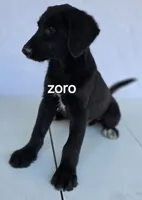 processed/ae68d0c1-6543-4704-b753-00974f51b751/listing/0c20ab57-aae6-4ca1-b945-8ce913f36ab6/dd2fead9-6038-4cc2-95fd-2e5fbf4346f1