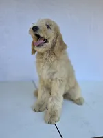 processed/ae68d0c1-6543-4704-b753-00974f51b751/listing/4bdaa247-13fa-4f3d-b007-dcf738e2a62f/2cb5a400-5033-4d53-b240-520597ef54ab