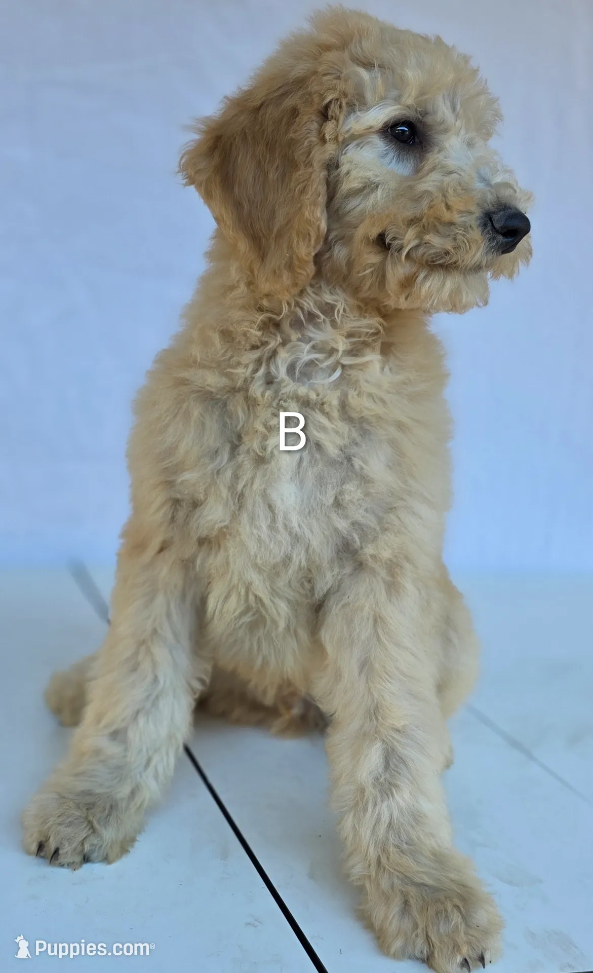 processed/ae68d0c1-6543-4704-b753-00974f51b751/listing/4bdaa247-13fa-4f3d-b007-dcf738e2a62f/673a2608-2f4a-46cc-8318-90cfa9a5cc69